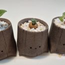 서우농장 이미지