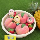 짱구과일