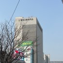 영등포 웨딩그룹위더스 아모르홀(9F) 상담 후기 및 장단점 비교 (2027년 상반기)