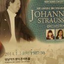 요한 스트라우스 챔버 오케스트라 이미지