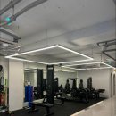 머슬베어pt 신길점 이미지