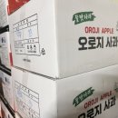송파유통