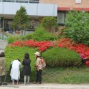 용뫼근린공원 이미지