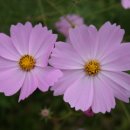 가산농장 이미지