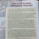 18 Why Is the Elephant Important In Thailand? 이미지