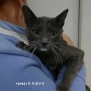 해동물병원 이미지