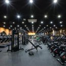 신선헬스 이미지