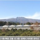 타운하우스공인중개사사무소 이미지