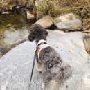 바우개펜션 이미지