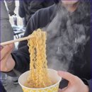 좋은서바이벌 네이버블로그