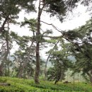 소백산마을농촌체험휴양마을 이미지