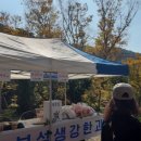 국화정원 이미지