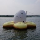 낙동강오리알 이미지