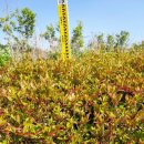 석암농장 이미지