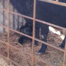 가산농장 이미지