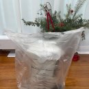 아이콘 소프트 | 브라반티아 / Brabantia / 뉴아이콘 페달빈 / 휴지통 / 3L / 소프트 베이지 / soft beige 후기 (내돈내산)