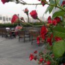 장미휴게실 이미지