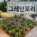 대구 근교 카페 분위기 좋은 경산 그레인모리 베이커리 카페 방문 후기