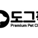 도그픽 이미지