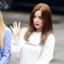 이쁘당개 이미지