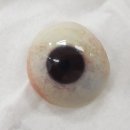 좋은의안 이미지