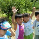 숲소리어린이집 이미지