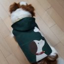 문화애견 이미지