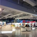 애견용품 할인매장 이미지