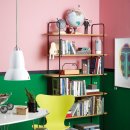 도그루밍 이미지