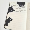 243 이미지
