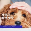 펫스토리 동물병원 이미지