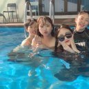 더휴일풀빌라