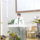 고신대학복음병원 이미지