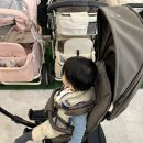 서울누비 | 누비앤타보 트래블러 S3 타보 트라이크 내돈내산 후기