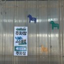 승마장 | 전주근교 가볼만한 곳│익산승마장 스스클럽│승마체험 후기