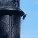 의료법인 대한불교조계종승려복지 이미지