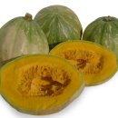 골드농장 이미지