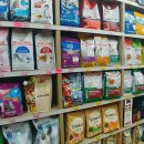 도그버디 이미지