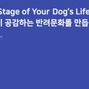 LV 휘트니스 이미지