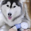 뉴월드동물병원 이미지