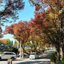 봉무공원 주차장 이미지