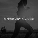 핏앤다이어트 - 서구 | 핏앤다이어트