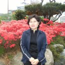 귀일민들레집 이미지