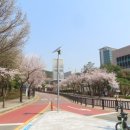 개나리꽃집 네이버블로그