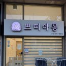 애견미용실 몽 | 안양동애견미용 찾다가 다녀온 쁘띠아몽 애견미용실