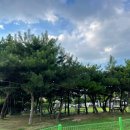 펫그라운드 - 도봉구 도봉로110길 39-16 | 펫그라운드