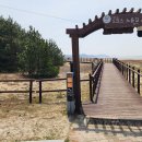 태안군. 안면도 2 ( 마검포 네이처월드-백사장 항-방포 해수욕장) 2. 이미지