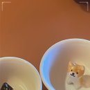 유메오뎅 당산점