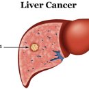 세종한방병원 이미지