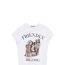 핑크강아지 이미지